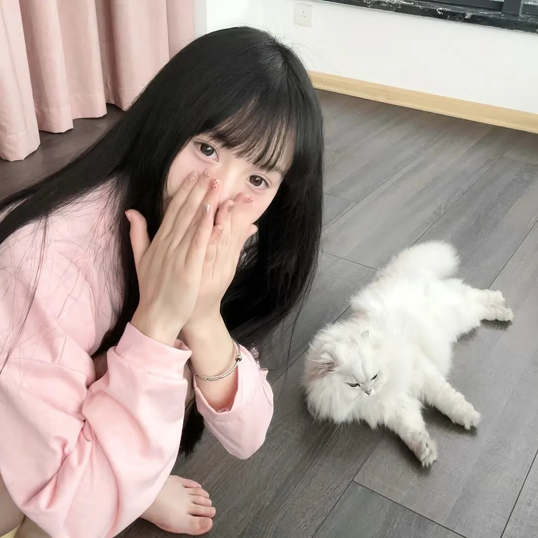 完美琴仇